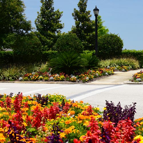 Commercial Landscaping by Landcare Group